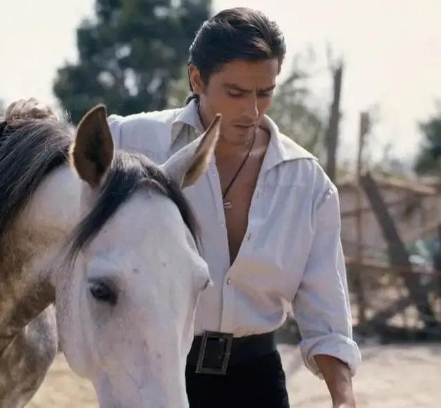 全球公认第一美男阿兰德龙,法兰西第一帅阿兰德龙