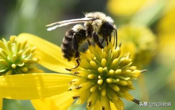 名单公布！西安入选；出行注意！这些列车有调整→【9月15日周四新闻速览一分钟】