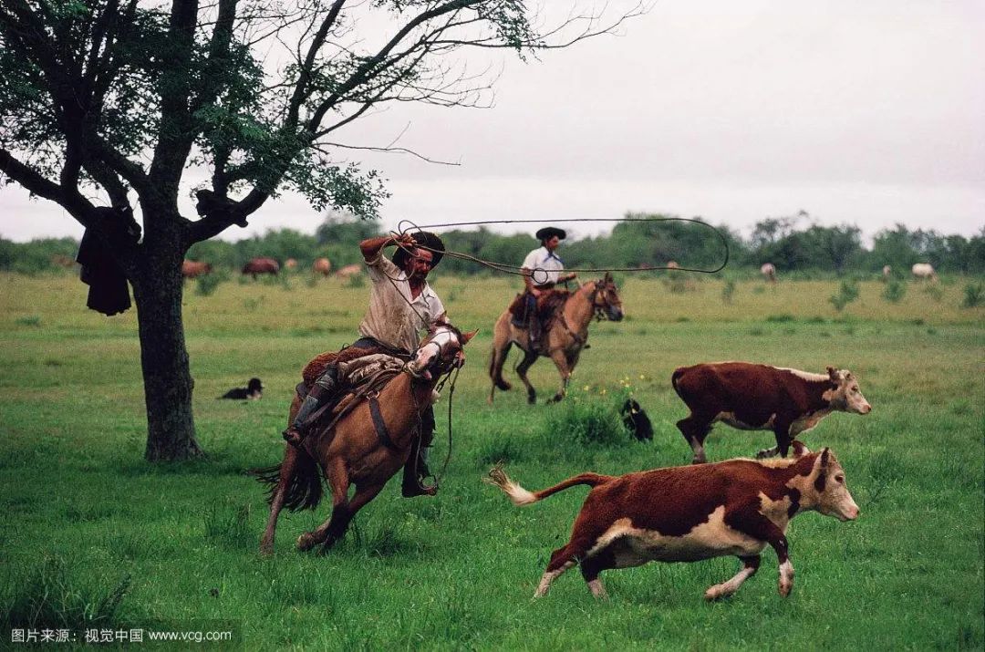 博尔赫斯小径分岔花园,博尔赫斯小径分岔的花园在线阅读