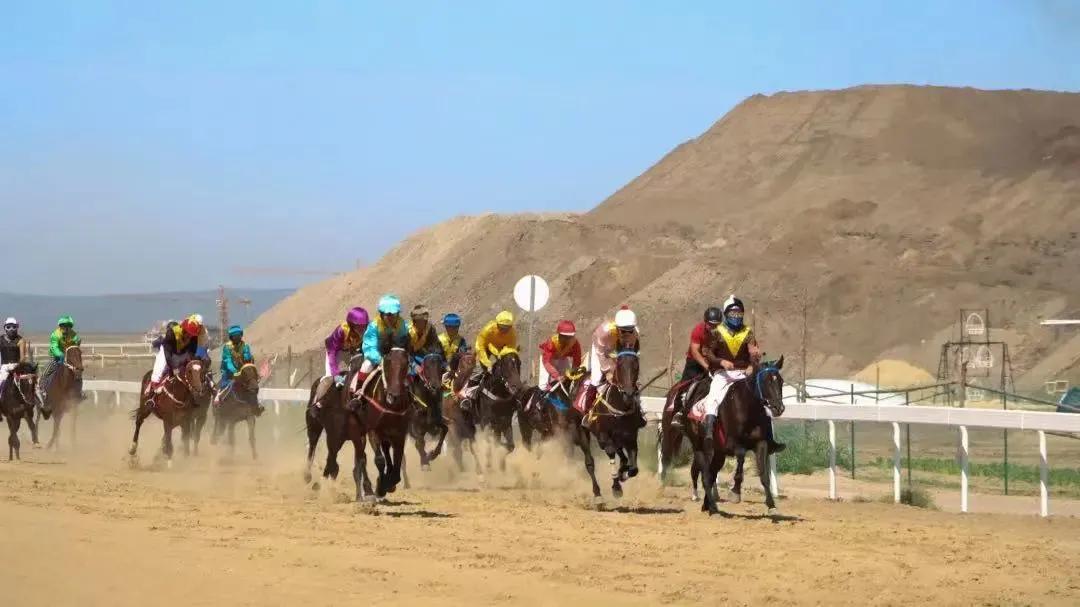 回首2021这一年,回顾2019精彩体育瞬间