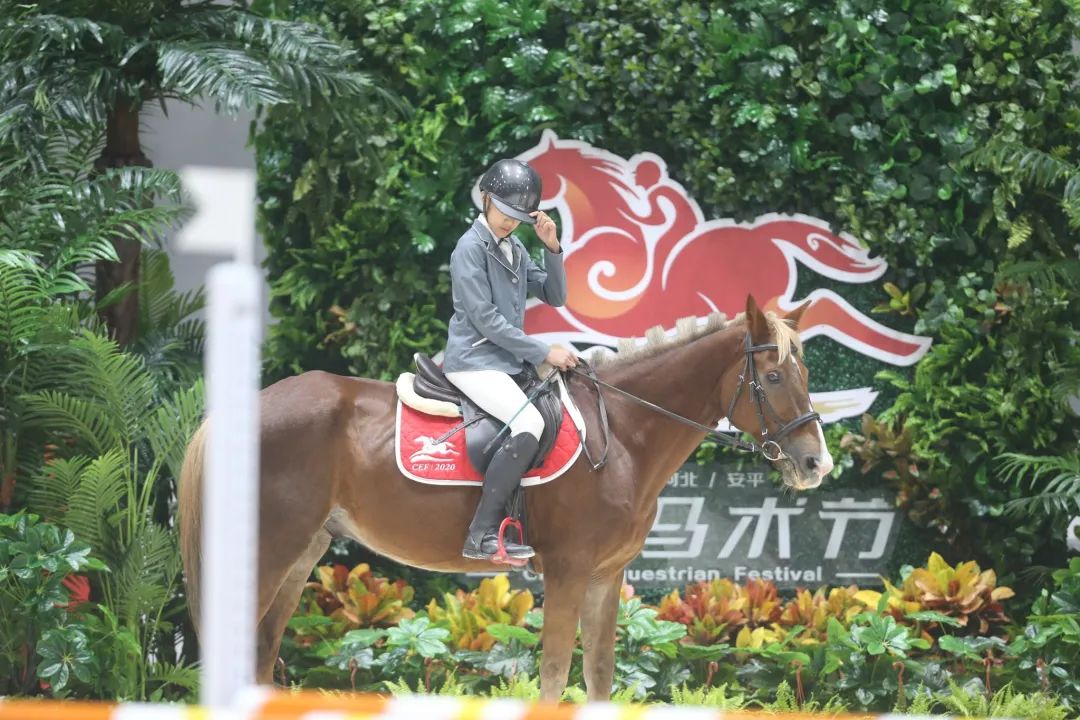 该不该给青少年买马，你的孩子真需要一匹马么？