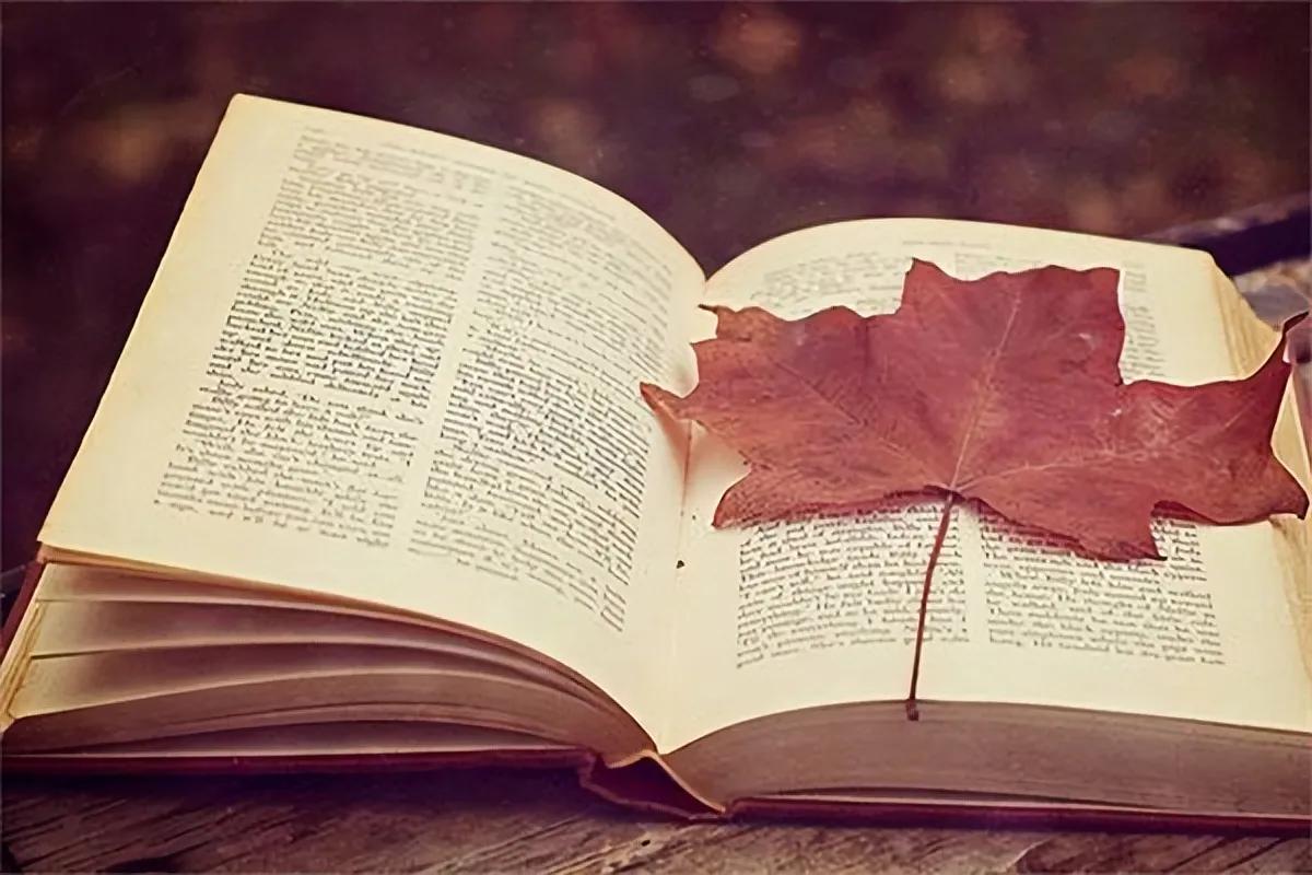 高考语文阅读系列,高考语文阅读2023现代文阅读