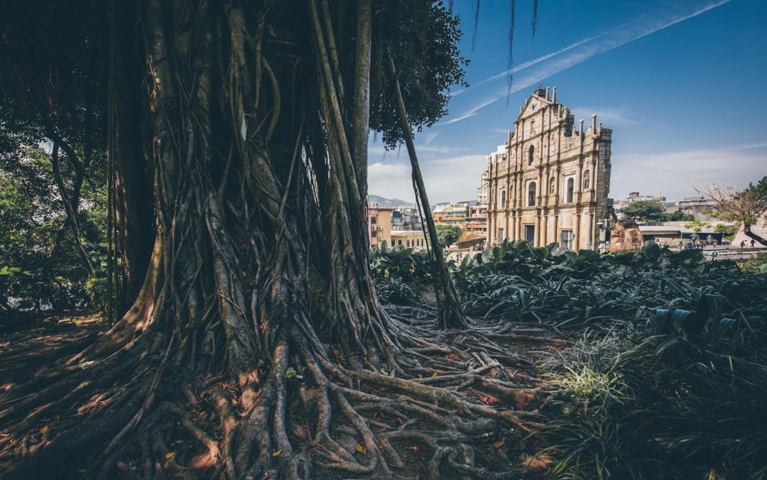 澳门有便宜的酒店住吗,澳门订不到的顶级酒店