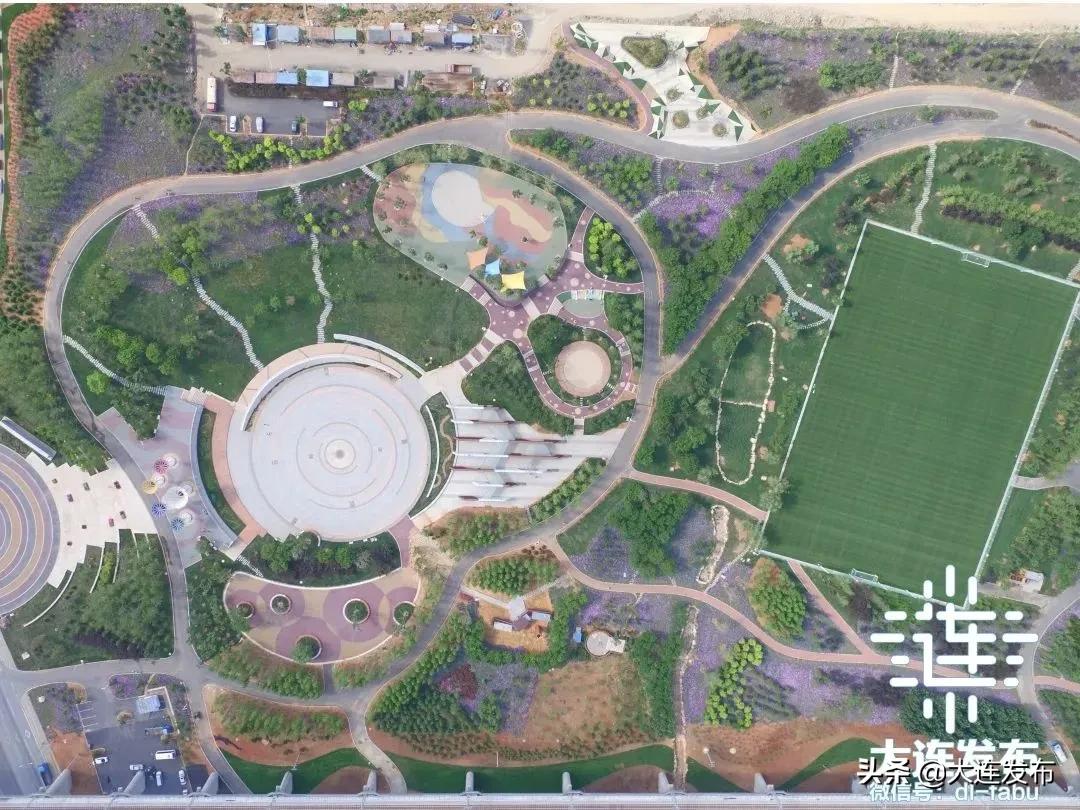 最近足球场在哪里,足球场最新消息