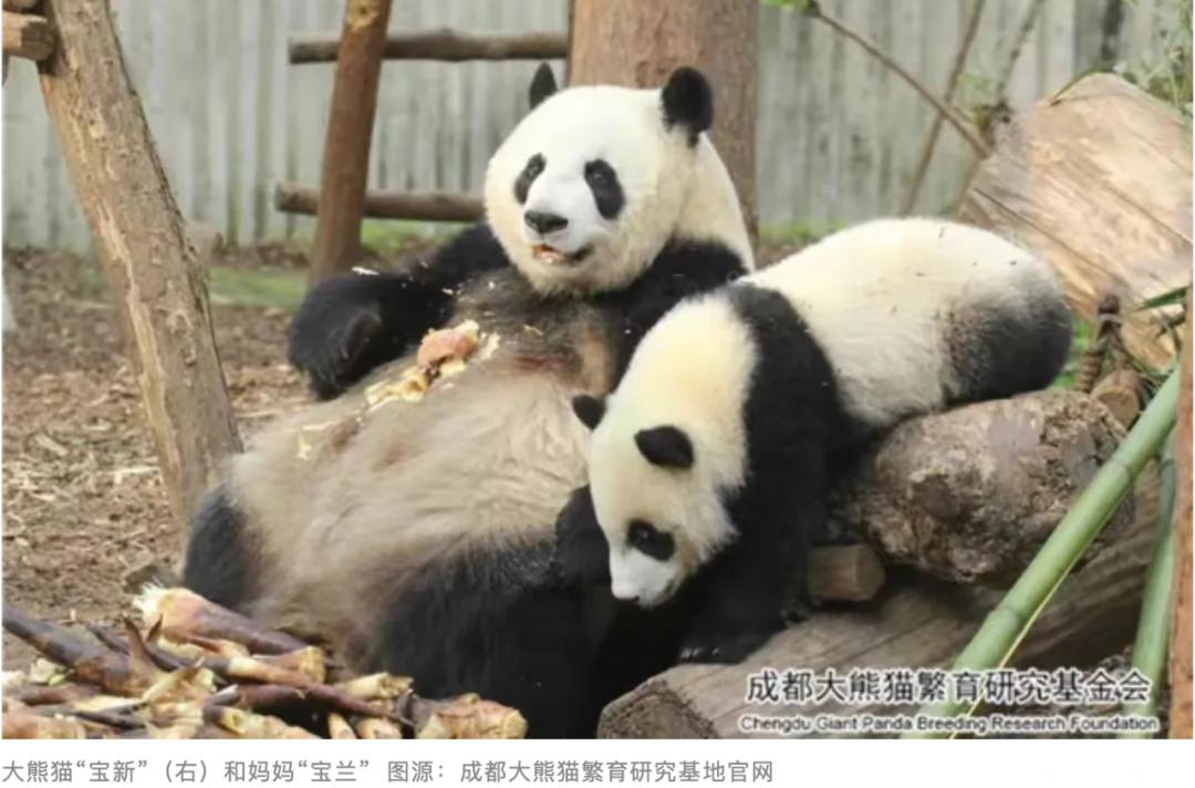 高校谈男生盗照片造谣,法治热点早知道罪大恶极