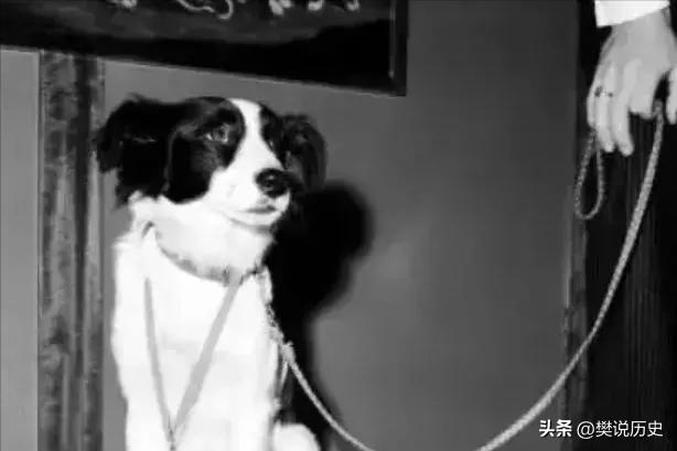 巴西的雷米特杯是不是被融化掉了,巴西永久保留的奖杯