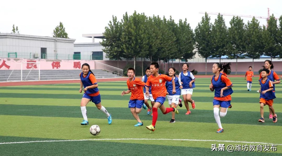 新闻周播报完整版,潍坊校园新闻播报