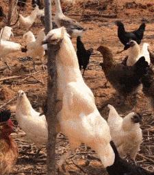 女代驾花了1800多,叫了个女代驾花了1800元