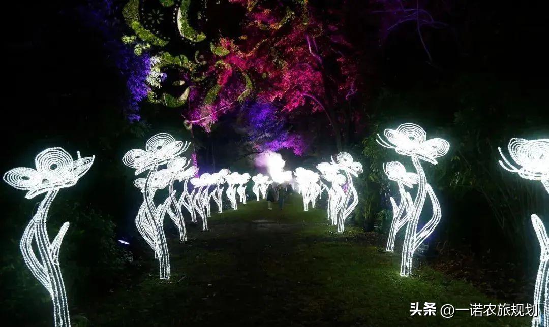 100个夜游项目推荐,沉浸式夜游项目经典案例