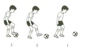 教师资格证面试小学音乐试讲,教师面试试讲视频小学音乐