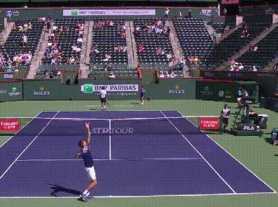 球场行为艺术,球场行为