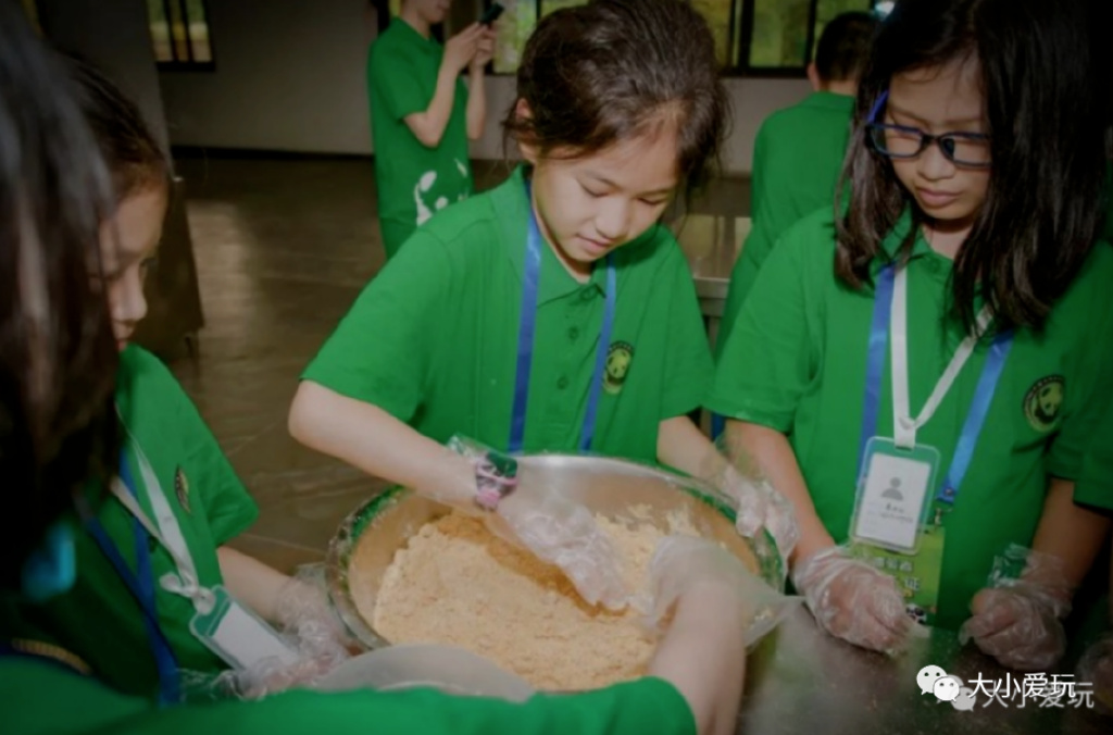 盘点从北到南带娃欢度的小众地！海边、沙漠、喂熊猫、看火箭…