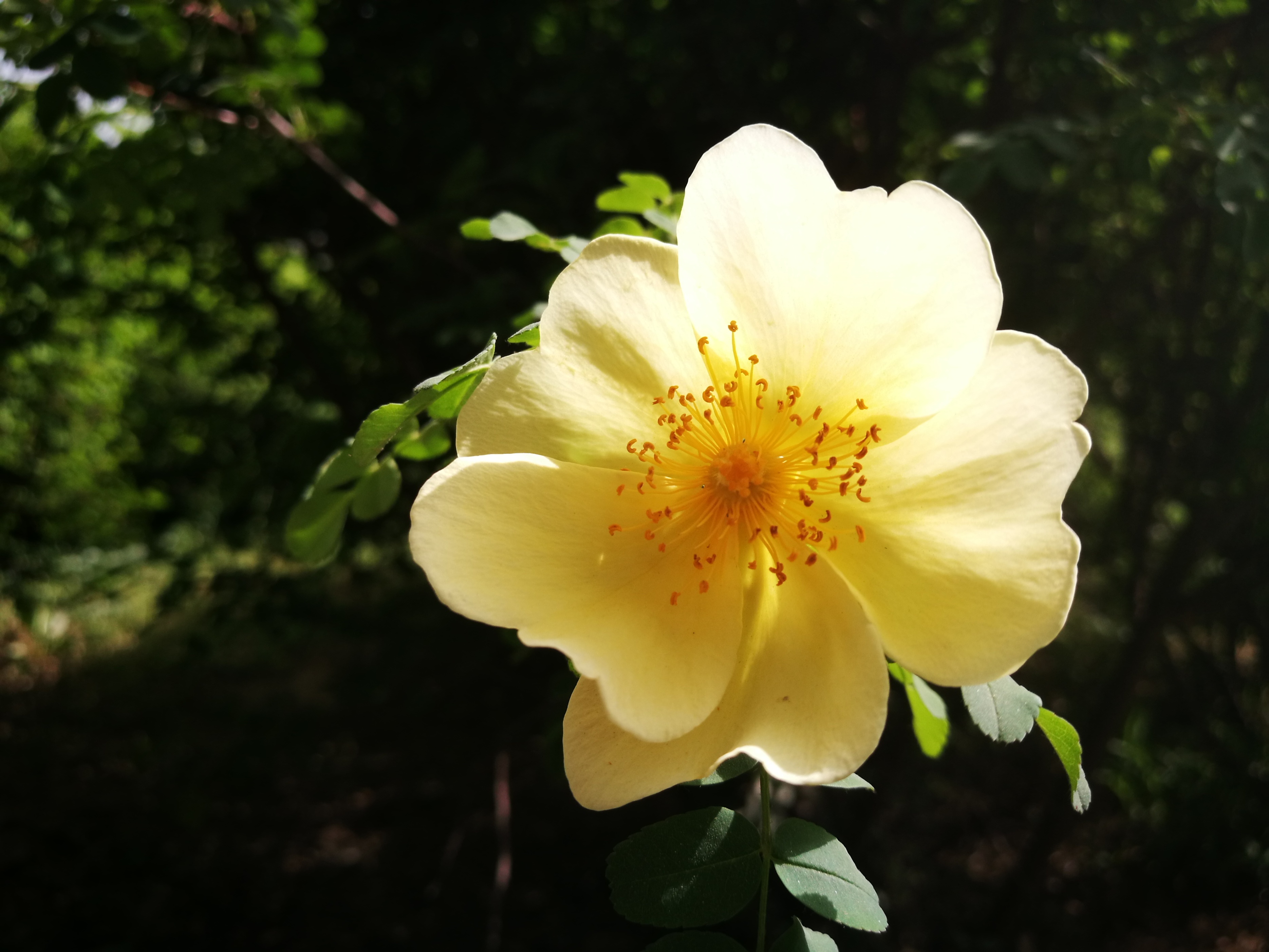 孔明经典语录,孔明经典语录100首