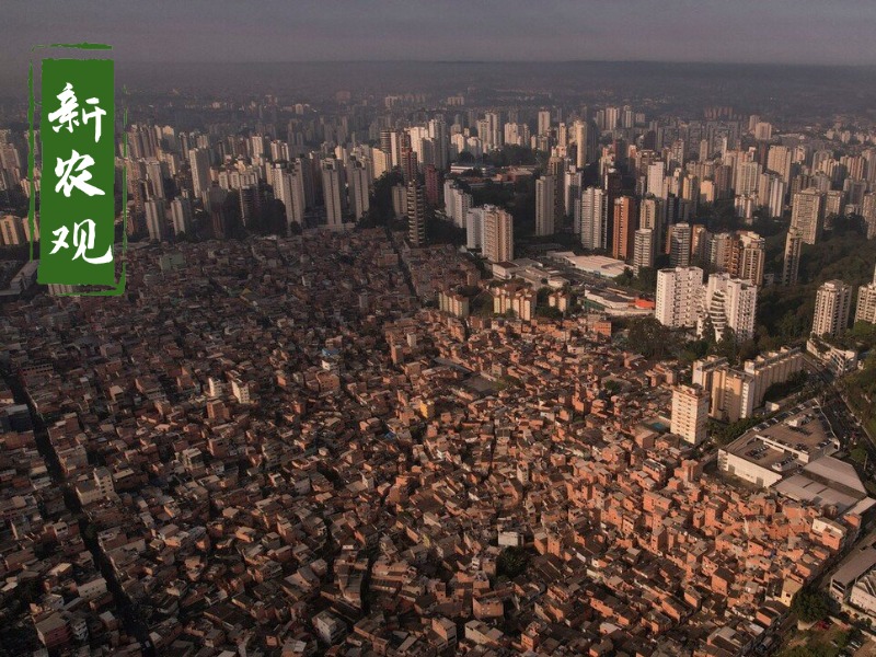 世界粮仓巴西,巴西是粮食大国为什么有饥饿问题