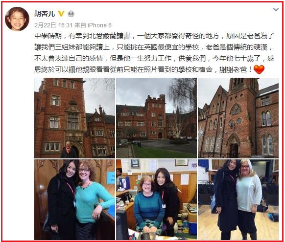 胡杏儿演技真的好吗,胡杏儿被评价