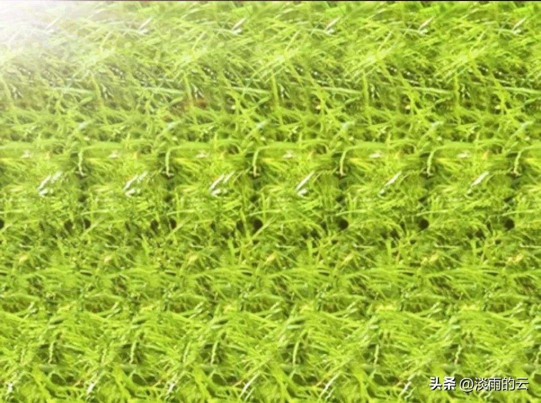 怎么来到三维视角,怎么样快速看懂三维立体图