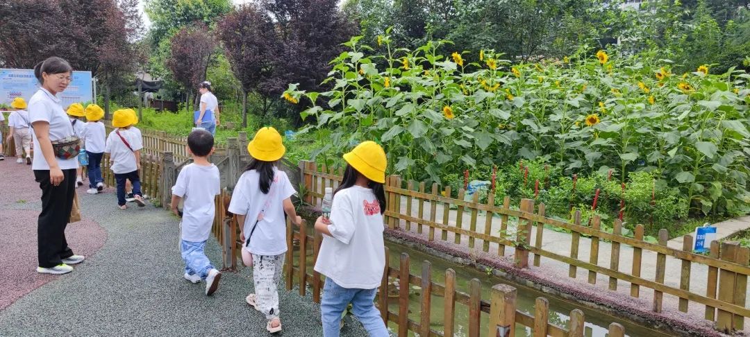 小学幼小衔接取得成效,小学幼小衔接活动简讯
