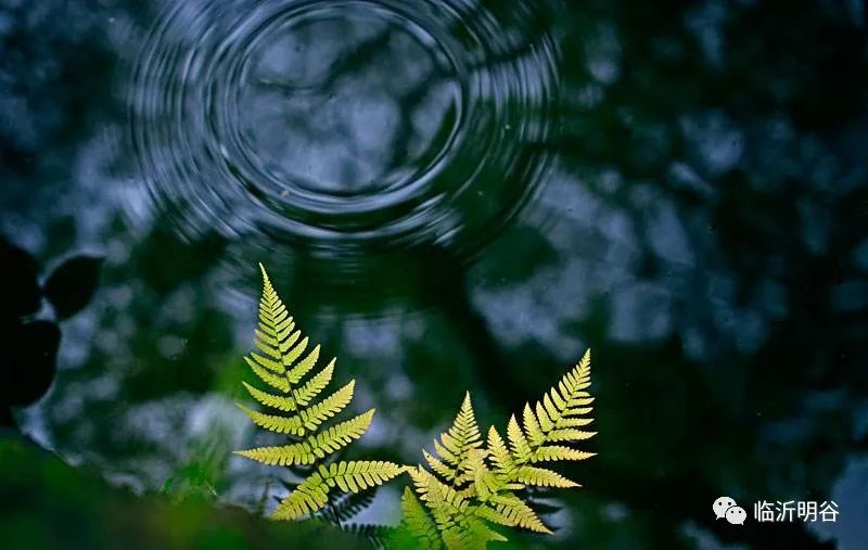 致青春扬帆起航,致即将踏上新征程的学生们