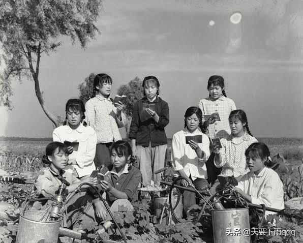 集中营图片真实照片,集中营老照片真实