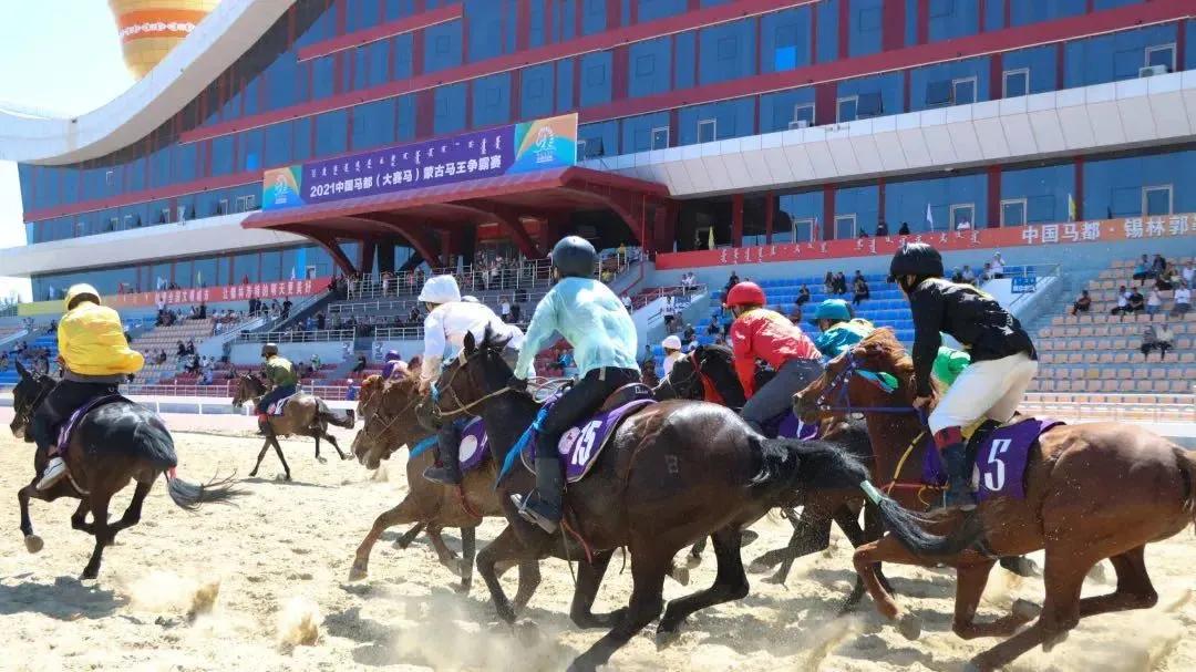 回首2021这一年,回顾2019精彩体育瞬间