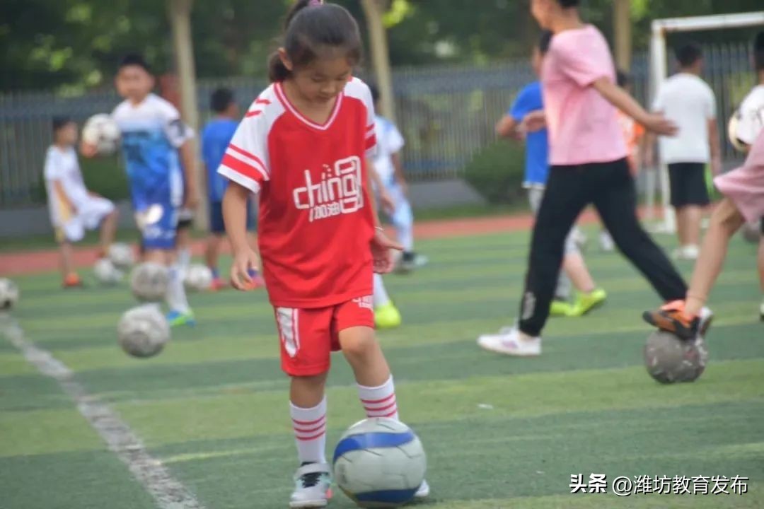 新闻周播报完整版,潍坊校园新闻播报