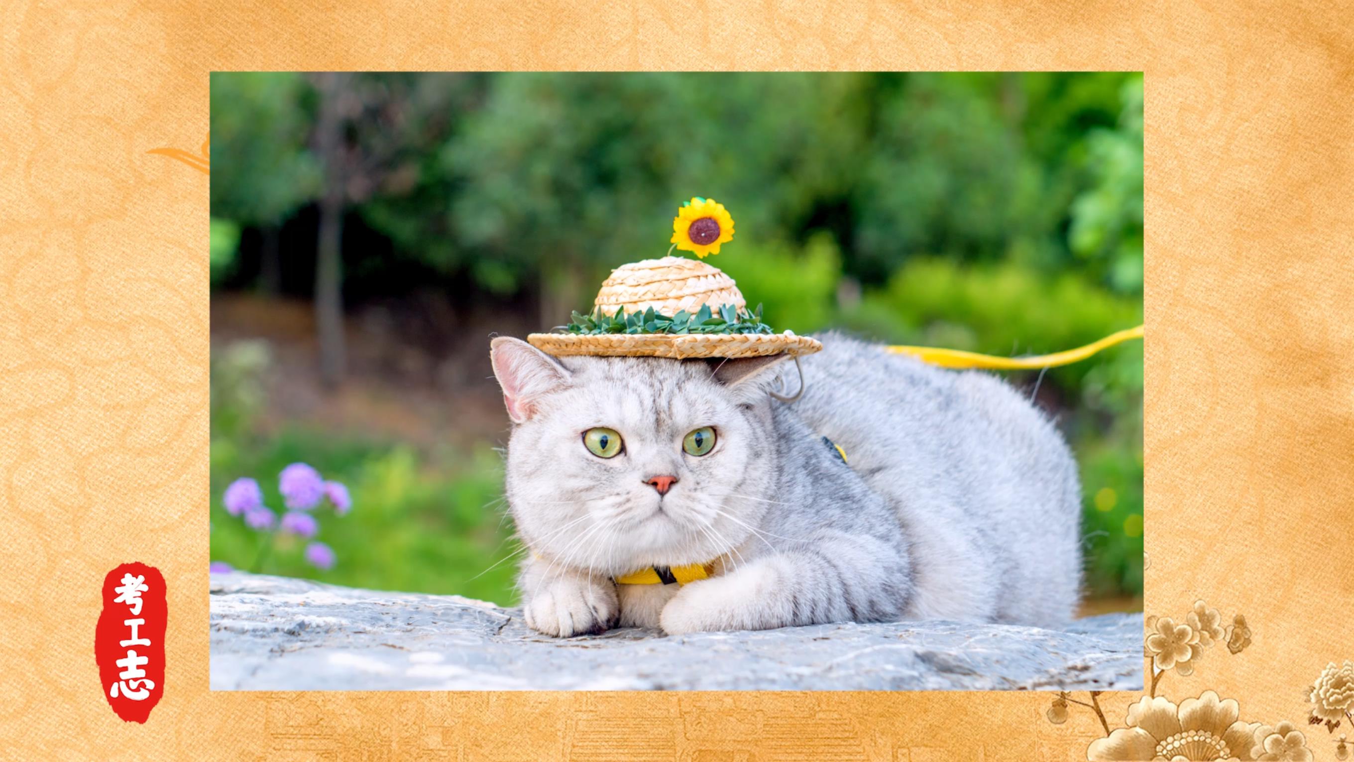 无人发现！众目睽睽下，隐藏百年的工艺巧思「北京北海公园」