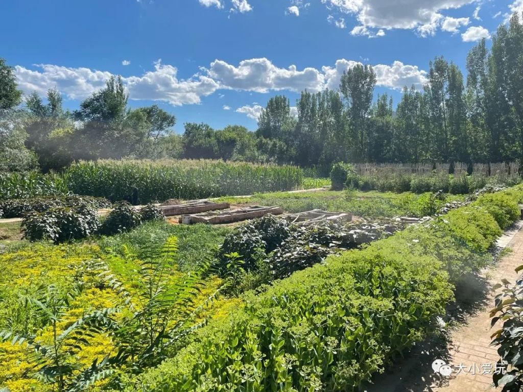 打卡北京这个超级亲子度假村！见识了遛娃界天花板，奉上超全攻略