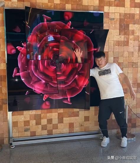 一个网红成功干翻万人就业,东北的7位网红