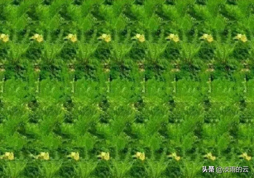 怎么来到三维视角,怎么样快速看懂三维立体图