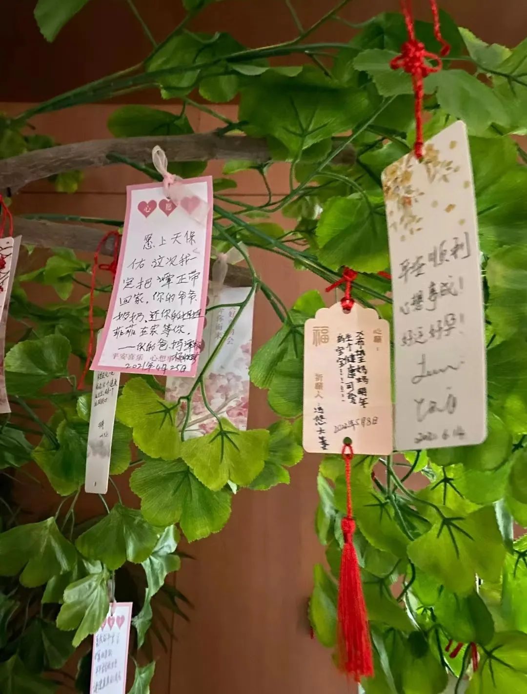 女性不孕症做试管婴儿成功率,男性不育试管婴儿孩子易得病