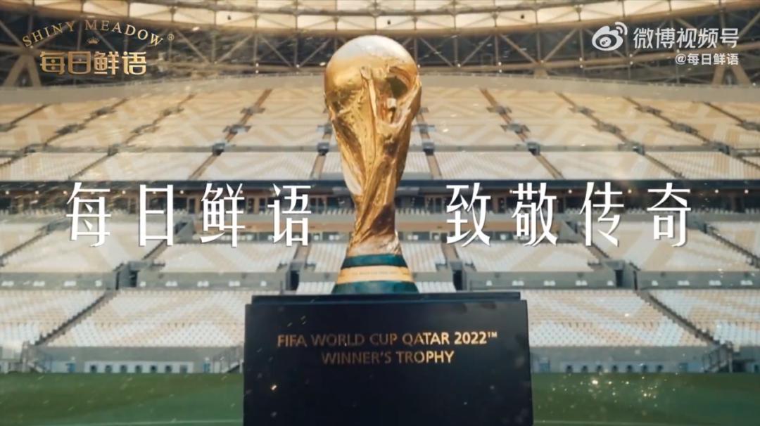 每日鲜语推广,世界杯文案营销方案