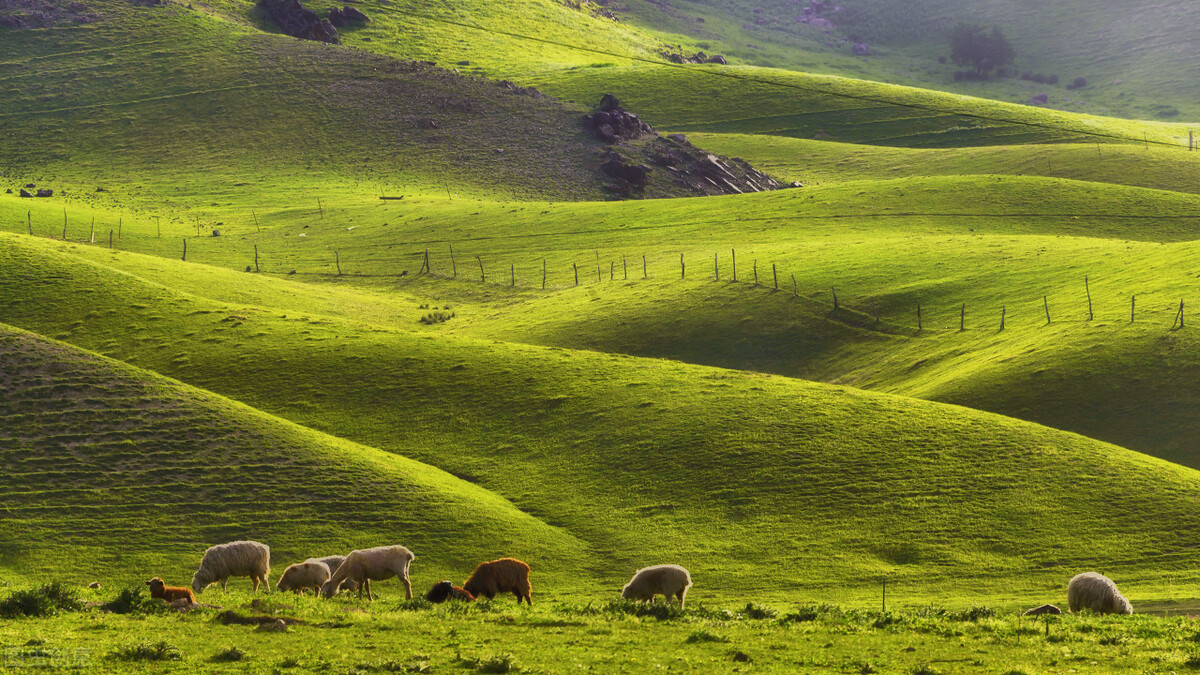 加代vs赖氏兄弟全文阅读,加代与赖氏的江湖故事合集