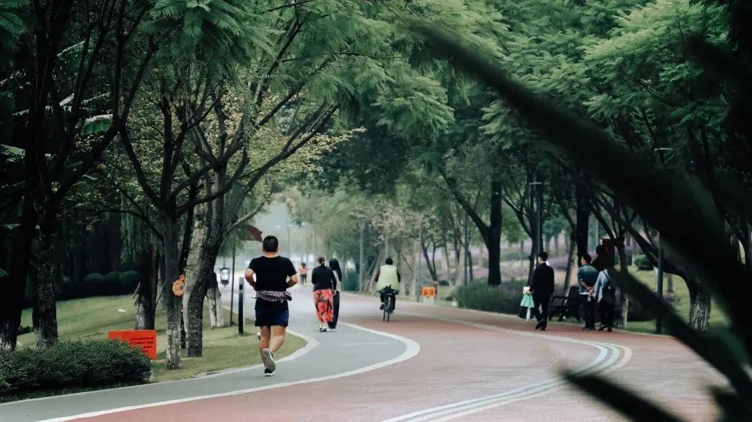 运动公园免费吗,免费运动公园冬天