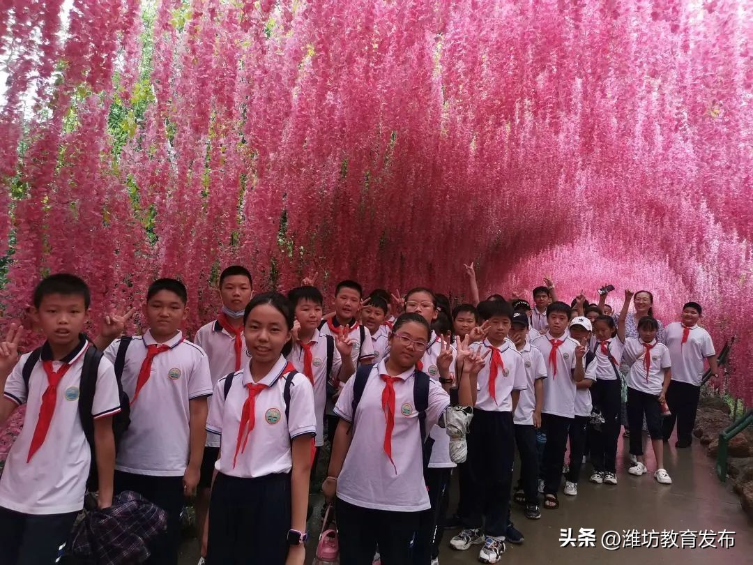 新闻周播报完整版,潍坊校园新闻播报