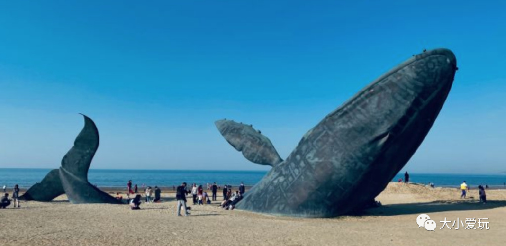 盘点从北到南带娃欢度的小众地！海边、沙漠、喂熊猫、看火箭…