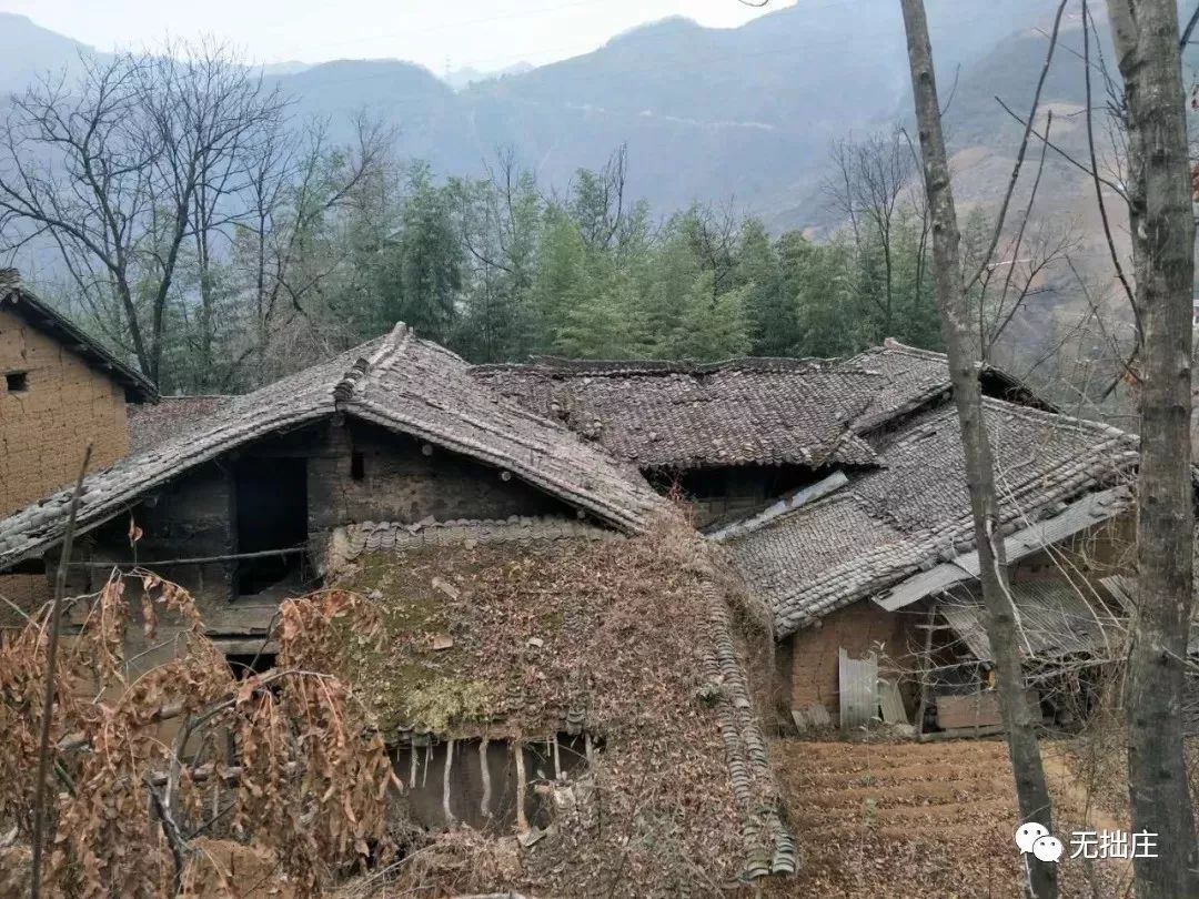 镇安县酿酒文化介绍,镇安古法酿酒