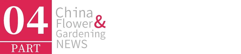 第21届高交会开幕亮点一箩筐,零交会展馆