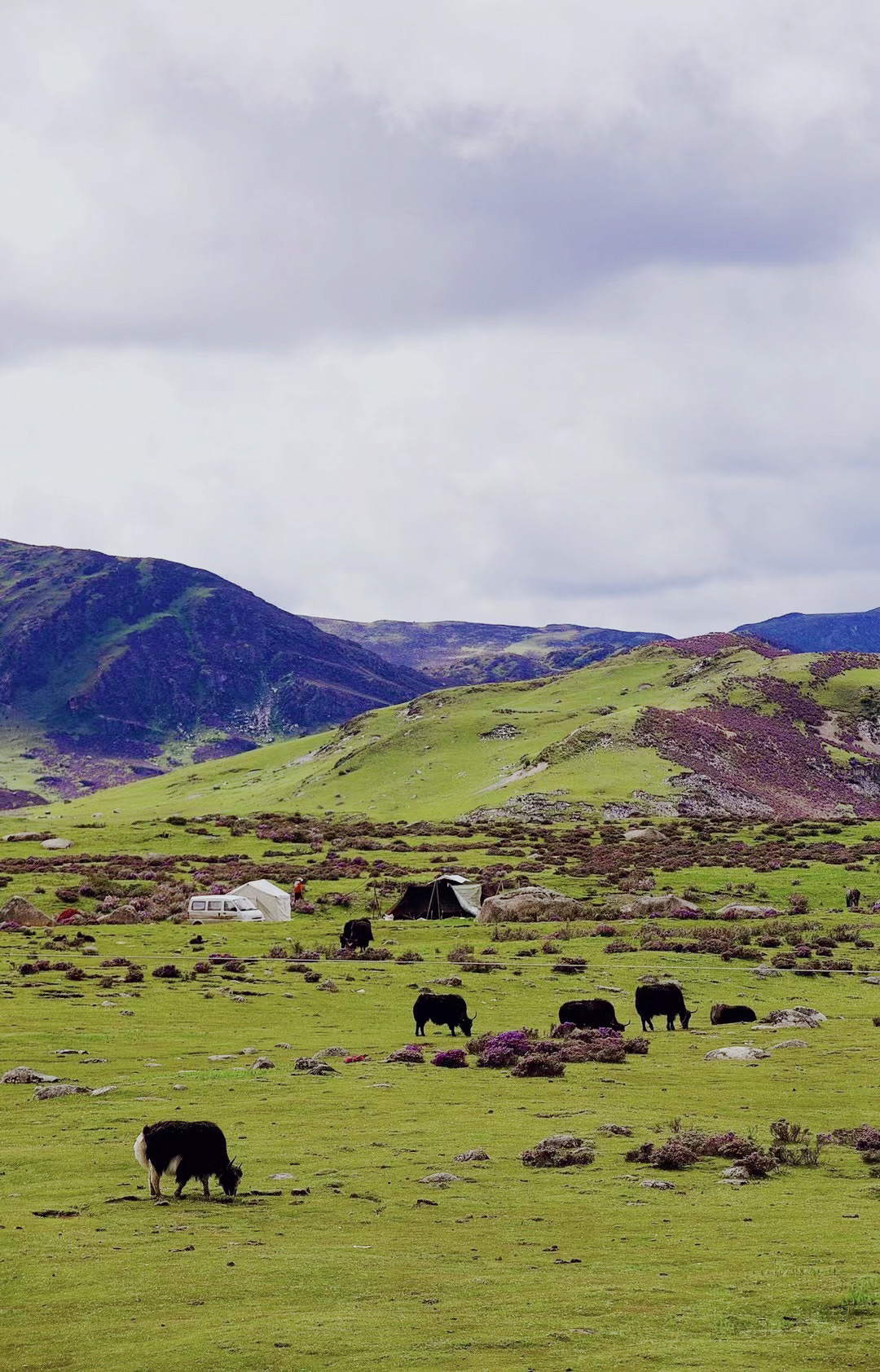 318天空之城旅游,来到第一高城丁真故乡旅游