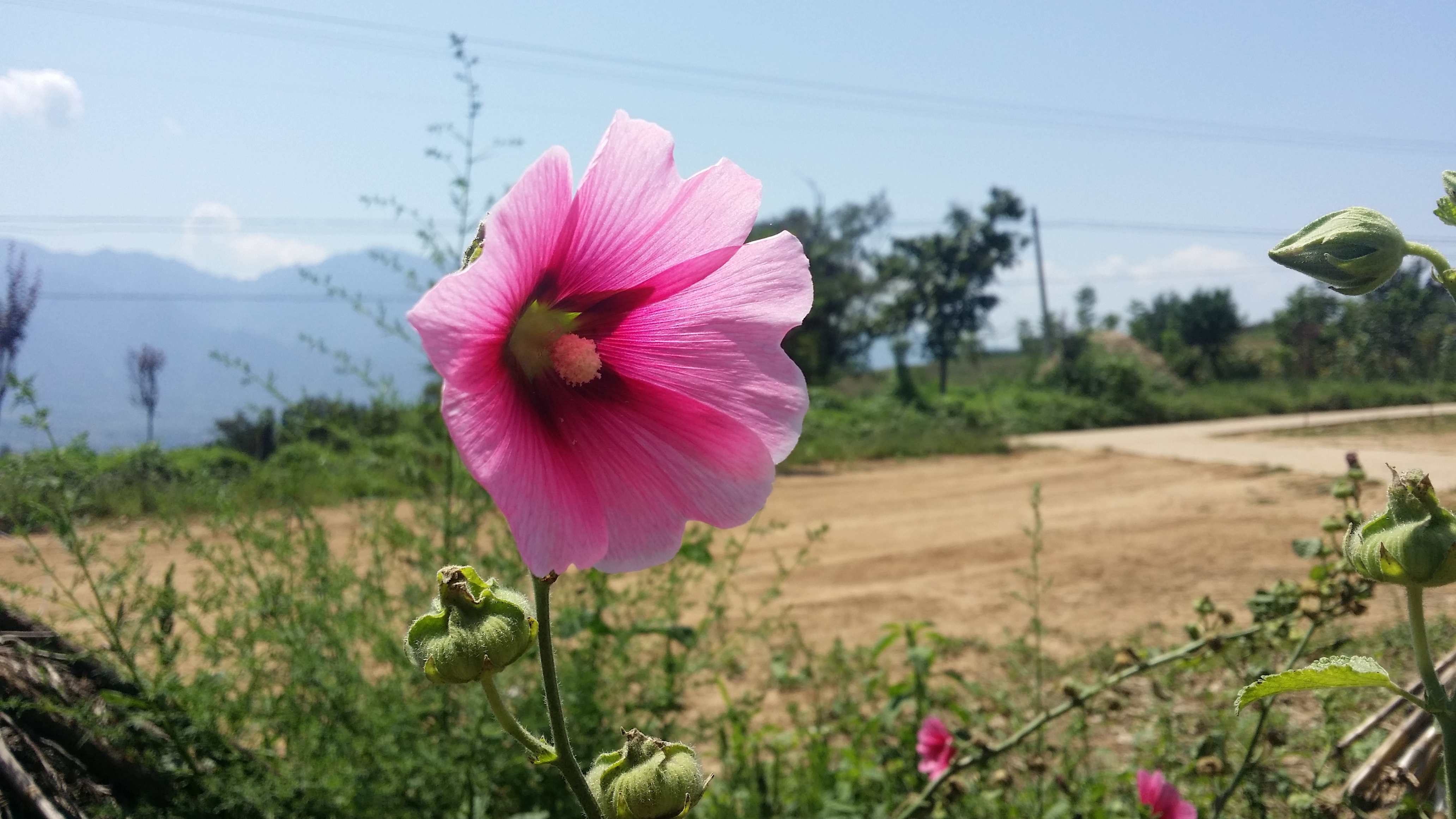 孔明经典语录,孔明经典语录100首