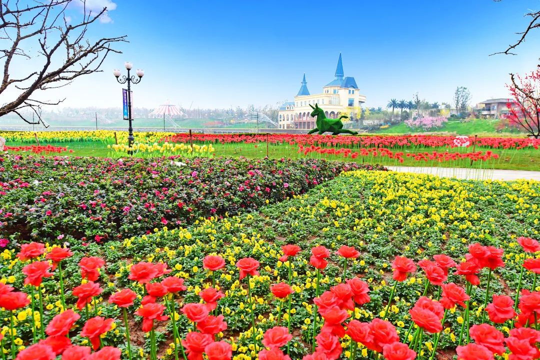 武汉恒大科技旅游城项目最新进度,武汉恒大科技旅游城以前视频