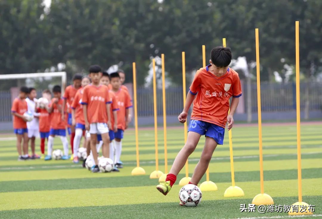 新闻周播报完整版,潍坊校园新闻播报