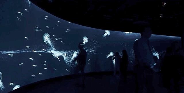 100个夜游项目推荐,沉浸式夜游项目经典案例