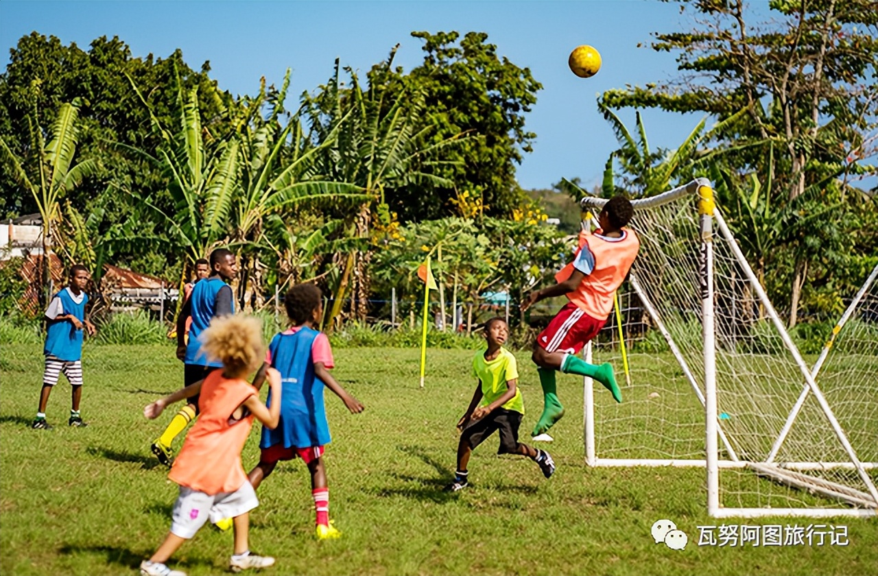 瓦努阿图两名妇女用树叶制作出阿根廷*旗国**