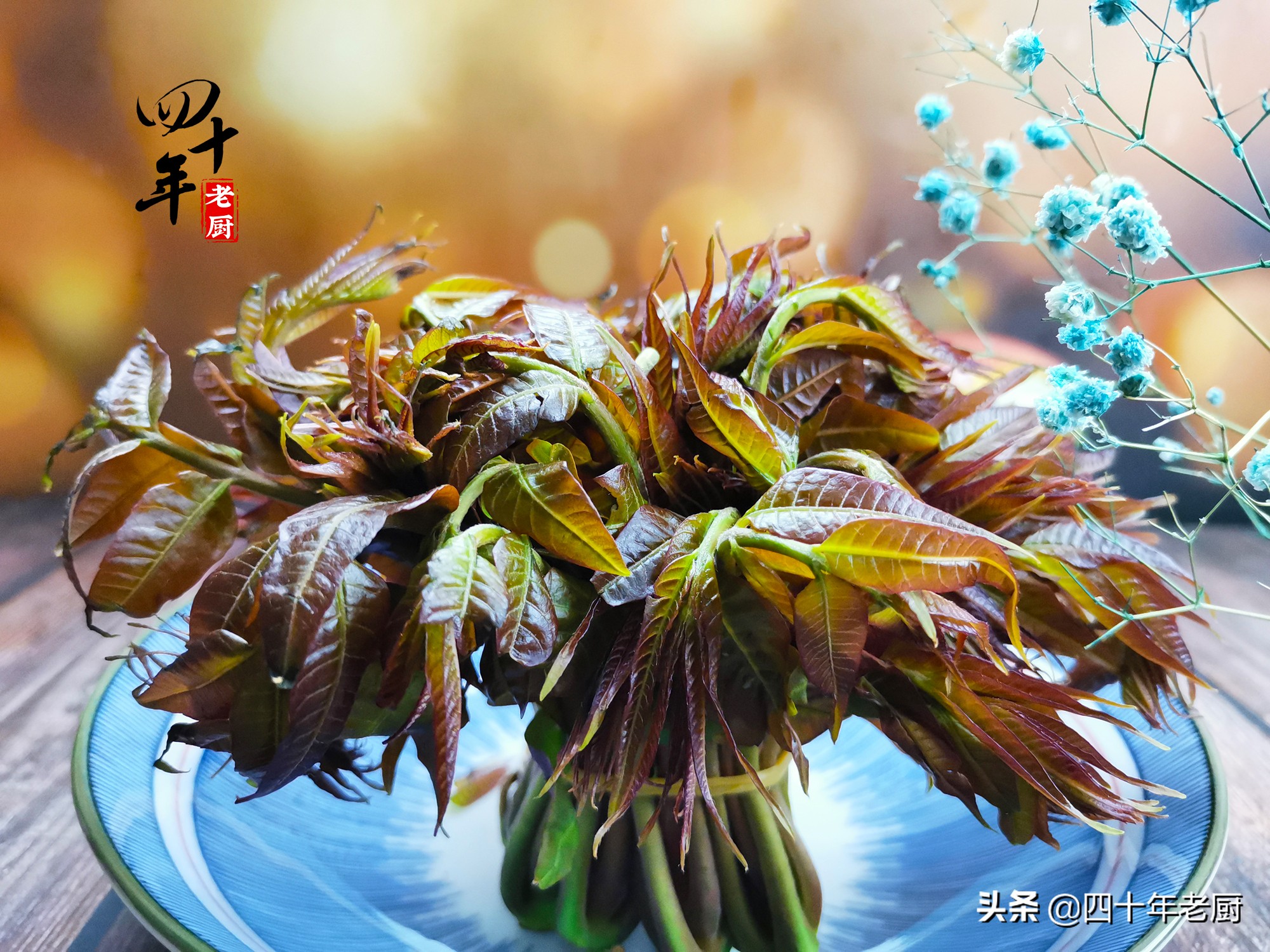 香椿的禁忌和做法经典,香椿美味但一定要谨记这三点