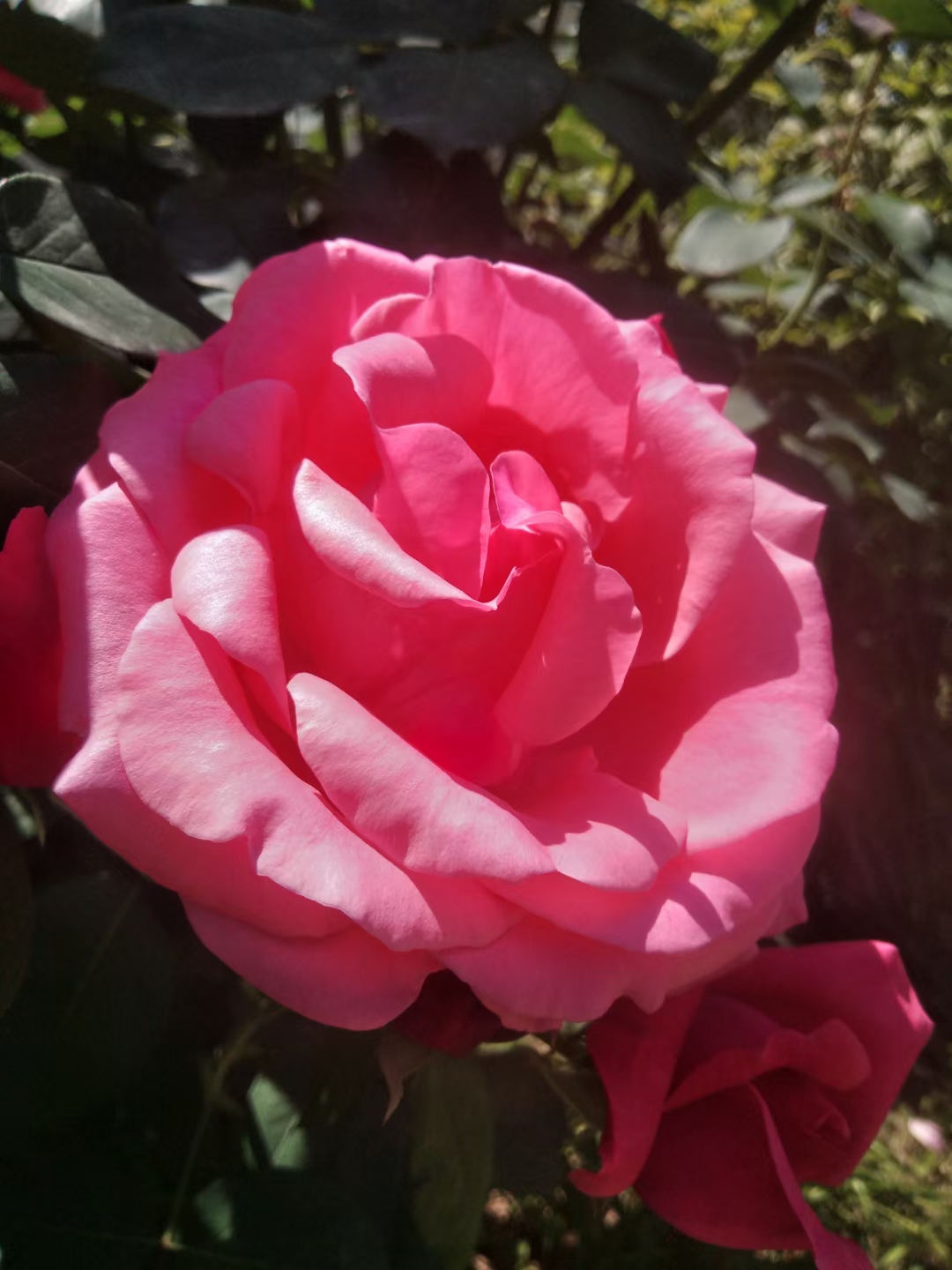 孔明经典语录,孔明经典语录100首