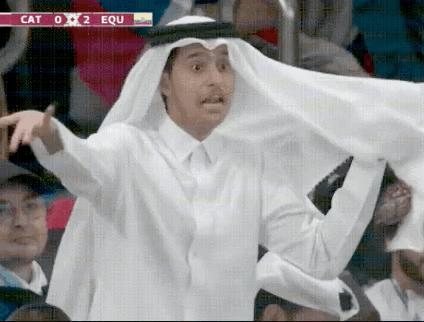 卡塔尔世界杯的撞脸瞬间,各种撞脸明星