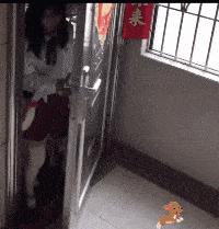 夏天又要来了穿汉服,夏天来了女孩子穿裙子