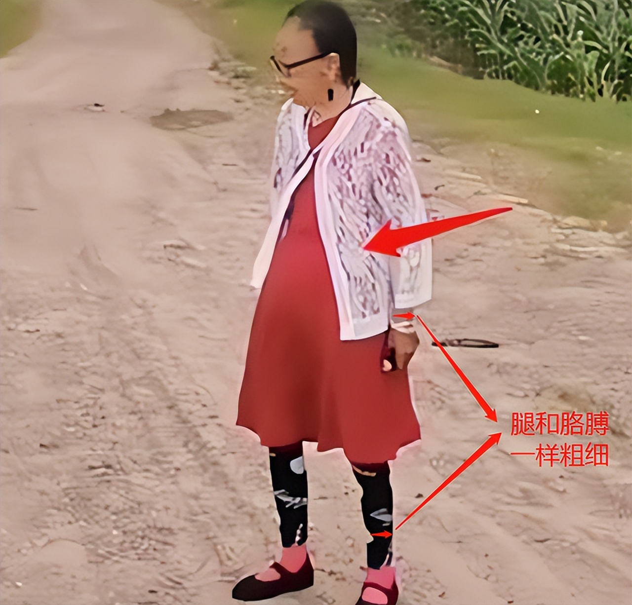 马玉琴高清照片,马玉琴视频照片