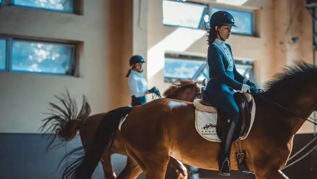 该不该给青少年买马，你的孩子真需要一匹马么？