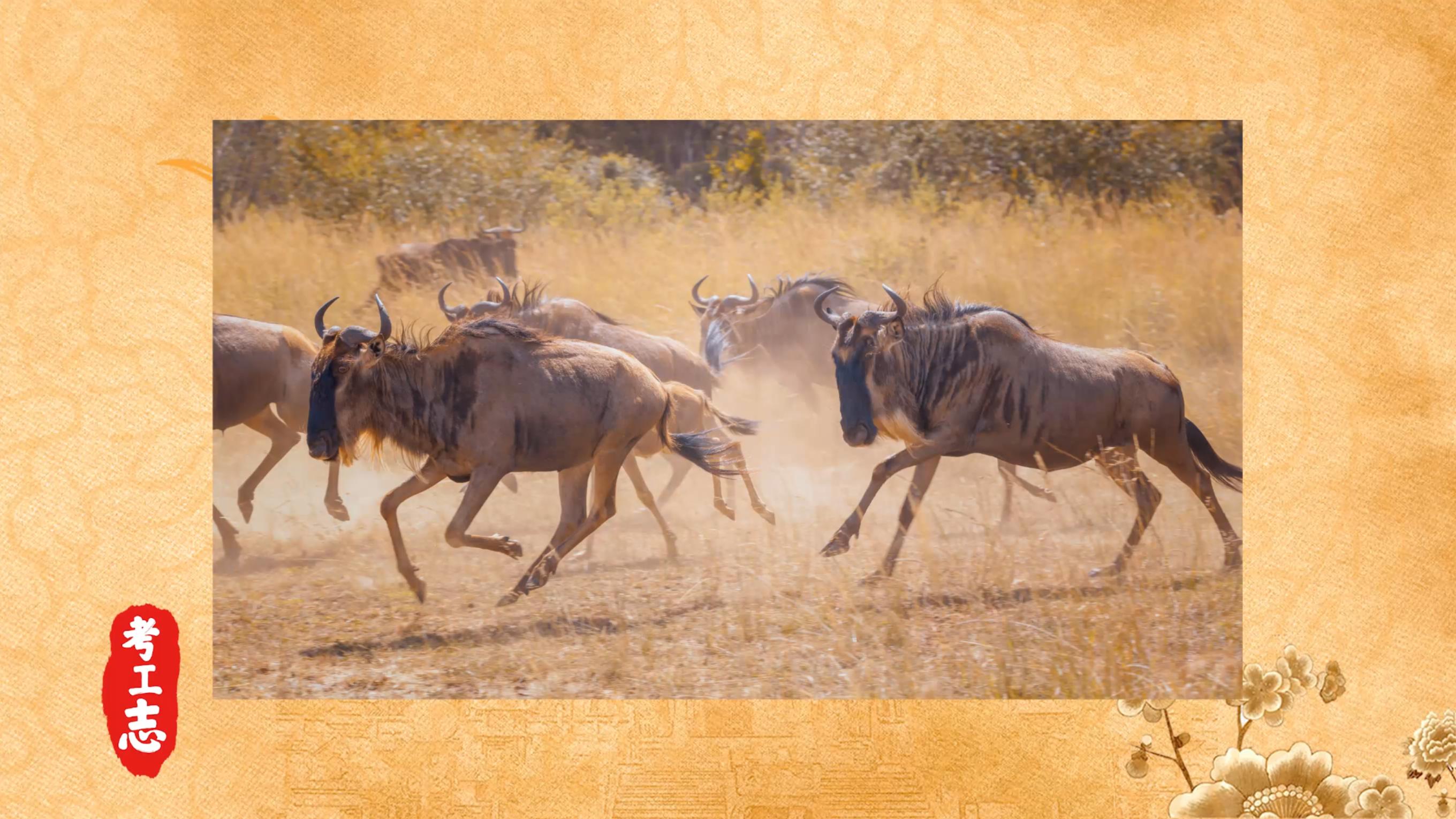 无人发现！众目睽睽下，隐藏百年的工艺巧思「北京北海公园」